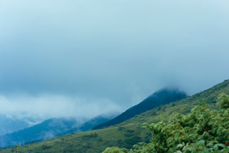 Grasslands around peak